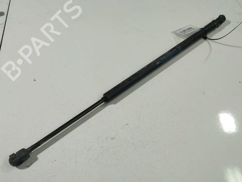 tailgate-lift-support-citroen-c4-grand-picasso-i-ua_-2006-2007-2008-2009-2010-2011-2012-2013-34784722 main image