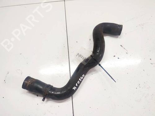Pipe RENAULT KANGOO (KC0/1_) 1.5 dCi | BP32583069M125  - Image 6