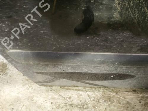 Gummiliste CITROËN C8 (EA_, EB_) 2.2 HDi | BP34864758C142 - Image 3