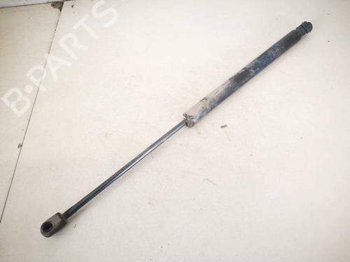 tailgate-lift-support-renault-twingo-ii-cn0_-2007-35278561 main image