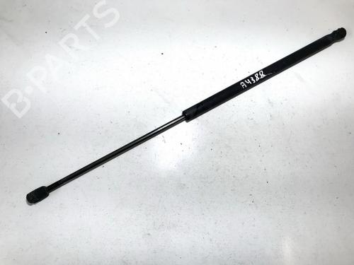 tailgate-lift-support-ford-focus-c-max-dm2-2003-2004-2005-2006-2007-35838128 main image