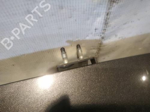 Used Hinge/Door check strap Hinge/Door check strap 38319029 38319029