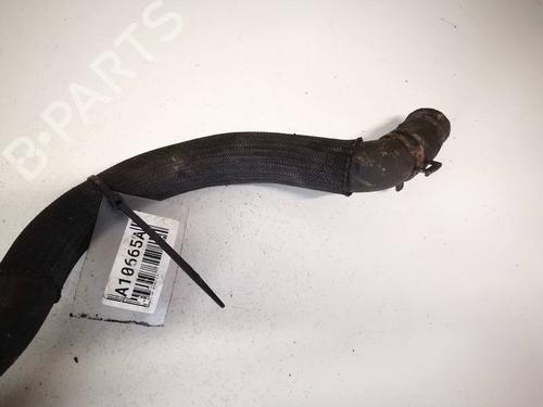 Pipe RENAULT LAGUNA III (BT0/1) 2.0 dCi (BT07, BT0J, BT14, BT1A, BT1S) | BP32552329M125 - Image 2