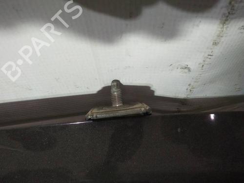 hingedoor-check-strap-ford-fiesta-vi-cb1-ccn-2008-34947627 main image