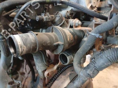 Termostathus Termostathus 38057503 38057503