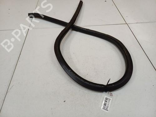 Gummiliste VW PASSAT CC B6 (357) 1.8 TSI | BP34798769C142 - Image 3