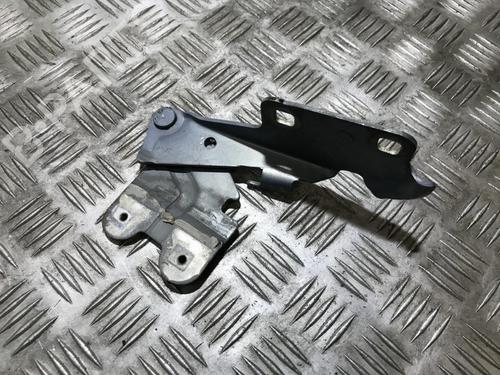 hingedoor-check-strap-renault-laguna-ii-bg01_-2001-2002-2003-2004-2005-2006-2007-35699115 main image