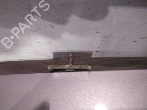 hingedoor-check-strap-peugeot-1007-km_-2005-34901731 main image