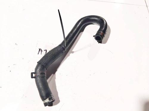 Pipe RENAULT ESPACE IV (JK0/1_) 2.2 dCi (JK0H) | BP32620672M125