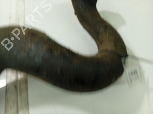 Pipe CITROËN C5 III (RD_) 2.0 HDi (RDRHD8, RDRHDJ, RDRHR8, RDRHRJ) | BP32531042M125