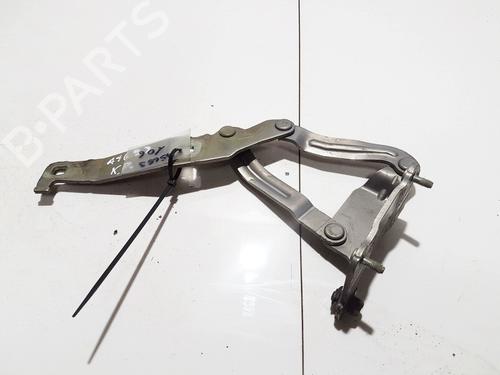 hingedoor-check-strap-renault-scenic-ii-jm01_-2003-2004-2005-2006-2007-2008-2009-2010-35881956 main image