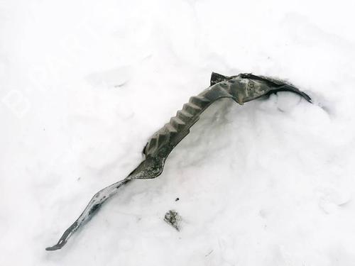 Used Wheel arch Wheel arch 35353934 35353934