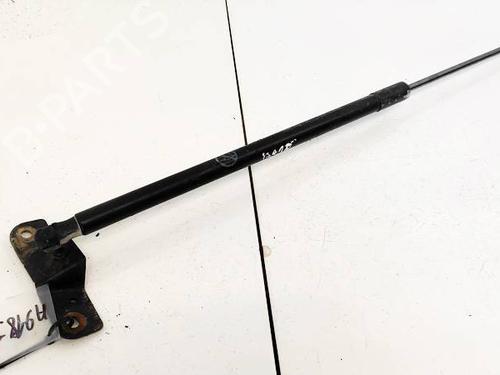 tailgate-lift-support-ford-grand-c-max-dxacb7-dxaceu-2010-2011-2012-2013-2014-2015-2016-2017-2018-2019-35279309 main image
