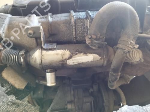Egr Egr 35499481 35499481