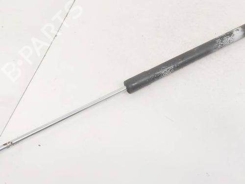 tailgate-lift-support-renault-laguna-iii-bt01-2007-2008-2009-2010-2011-2012-2013-2014-2015-35335875 main image