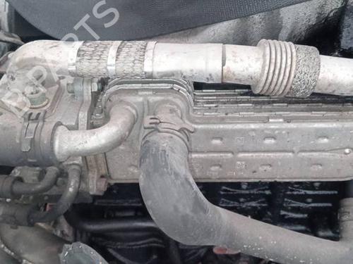 Used Egr Egr VW TOURAN (1T1, 1T2) 1.9 TDI (105 hp) 35252048 35252048