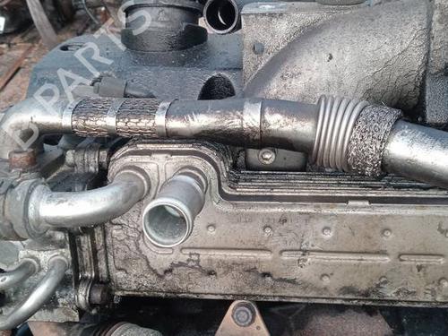 Used Egr Egr 35289368 35289368
