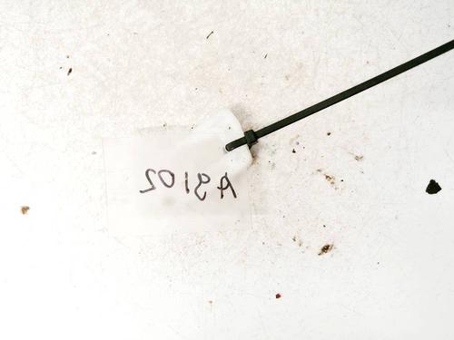 Used Support FORD TRANSIT Van (FA_ _) 2.2 TDCi (85 hp) 32578936