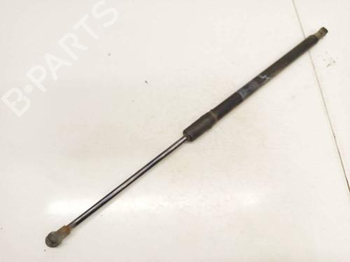 tailgate-lift-support-toyota-verso-_r2_-2009-2010-2011-2012-2013-2014-2015-2016-2017-2018-36548349 main image