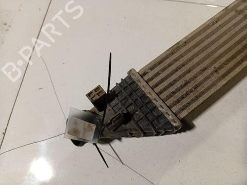 Intercooler FIAT FREEMONT (345_) 2.0 JTD 4x4 | BP38576638M30 - Image 2