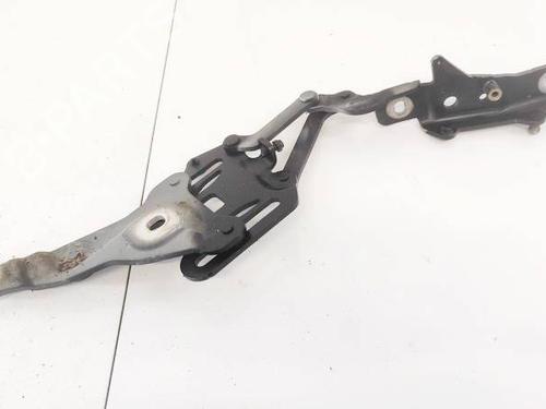 Used Hinge/Door check strap Hinge/Door check strap BMW X5 (E70) 4.8 i xDrive (355 hp) 35218585 35218585