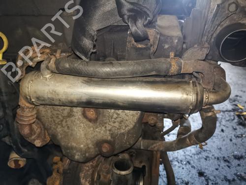 Used Egr Egr 35514365 35514365
