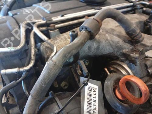Pipe SEAT TOLEDO III (5P2) 2.0 TDI 16V | BP39604068M125 - Image 4
