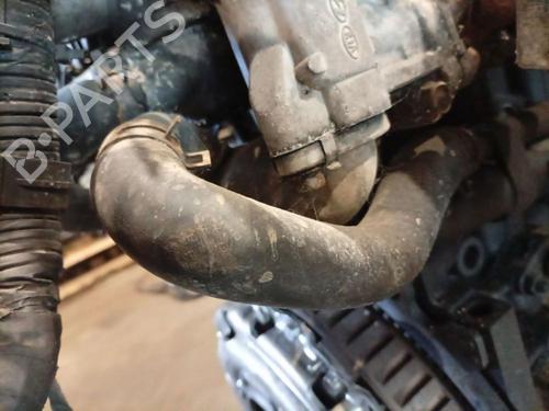 Pipe KIA CEE'D Hatchback (ED) 1.6 CRDi 115 | BP37253975M125 - Image 4