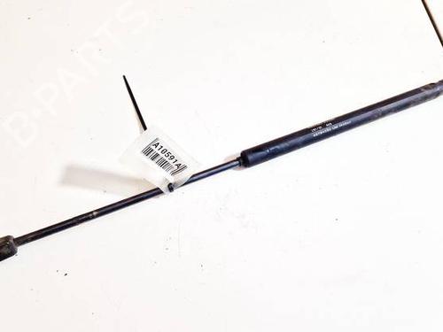 tailgate-lift-support-fiat-stilo-192_-2001-2002-2003-2004-2005-2006-2007-2008-2009-2010-34968588 main image