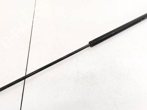 tailgate-lift-support-fiat-croma-194_-2005-2006-2007-2008-2009-2010-2011-35269020 main image