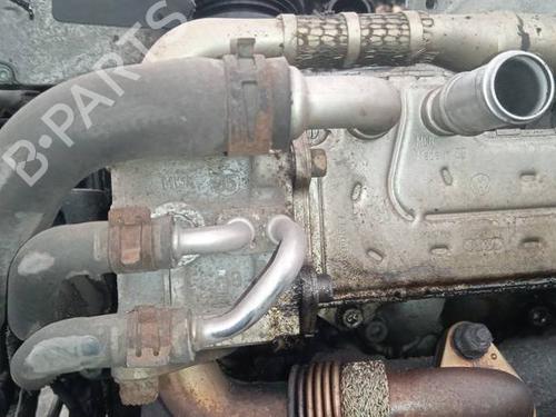 Egr VW PASSAT B6 (3C2) 1.9 TDI | BP35283271M69 - Image 3
