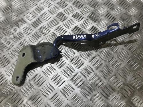 hingedoor-check-strap-renault-clio-iii-br01-cr01-2005-2006-2007-2008-2009-2010-2011-2012-2013-2014-35691399 main image