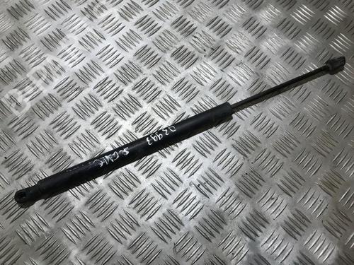 tailgate-lift-support-renault-scenic-ii-jm01_-2003-2004-2005-2006-2007-2008-2009-2010-35697334 main image