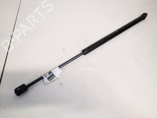tailgate-lift-support-renault-laguna-iii-bt01-2007-2008-2009-2010-2011-2012-2013-2014-2015-35181279 main image