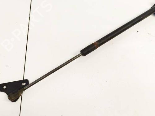 tailgate-lift-support-ford-focus-iv-hn-2018-34760136 main image