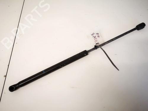 tailgate-lift-support-citroen-c2-jm_-2003-2004-2005-2006-2007-2008-2009-2010-2011-2012-2013-2014-2015-2016-2017-35491981 main image