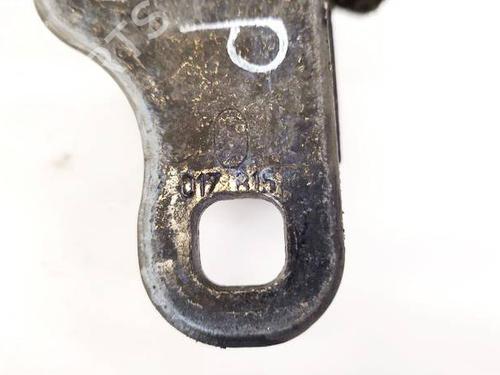 Hinge/Door check strap BMW 7 (E65, E66, E67) 730 d | BP32601342C146