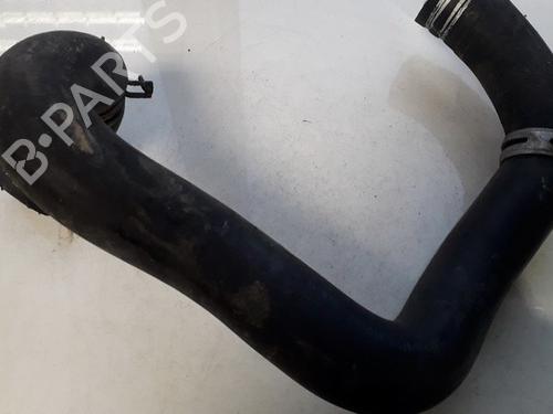 Used Pipe Pipe CITROËN XSARA PICASSO (N68) 2.0 HDi (90 hp) 33513594 33513594