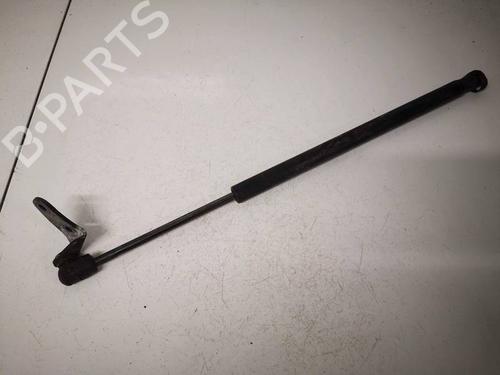 hood-lift-support-tesla-model-s-5yjs-2012-36686718 main image