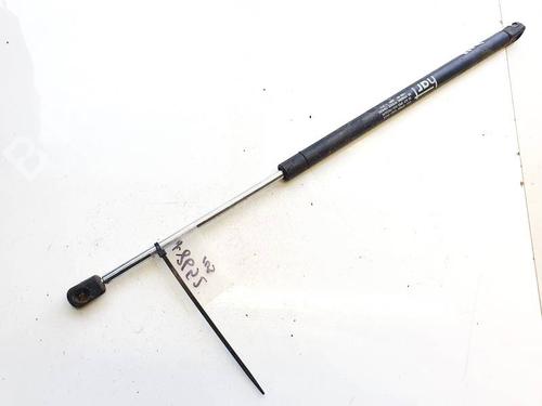 tailgate-lift-support-renault-scenic-ii-jm01_-2003-2004-2005-2006-2007-2008-2009-2010-35354414 main image