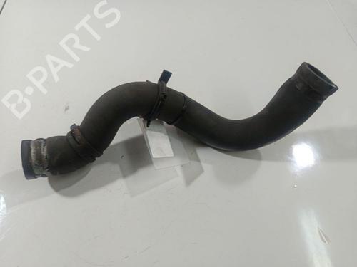 Pipe RENAULT THALIA I (LB_) 1.4 | BP38576190M125 - Image 4