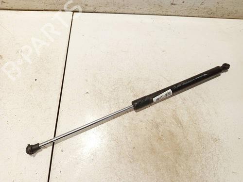 tailgate-lift-support-renault-laguna-iii-bt01-2007-2008-2009-2010-2011-2012-2013-2014-2015-34926242 main image