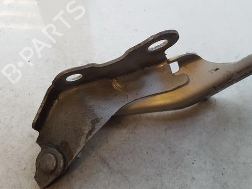 hingedoor-check-strap-toyota-rav-4-ii-_a2_-2000-2001-2002-2003-2004-2005-35855386 main image