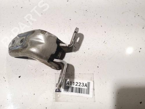 hingedoor-check-strap-chevrolet-captiva-c100-c140-2006-33489138 main image