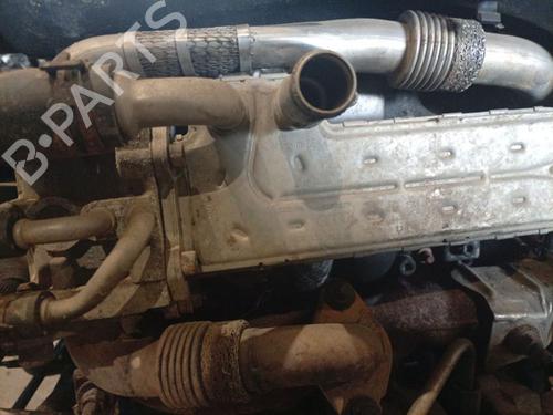 Egr VW PASSAT B6 (3C2) 1.9 TDI | BP38040723M69 - Image 3