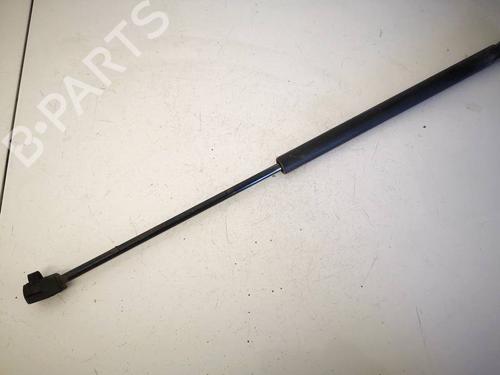 tailgate-lift-support-renault-scenic-ii-jm01_-2003-2004-2005-2006-2007-2008-2009-2010-34769821 main image