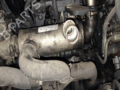 Egr Egr 38766506 38766506