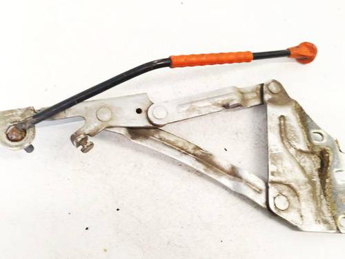 Used Hinge/Door check strap Hinge/Door check strap 38431179 38431179