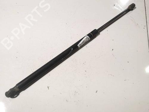 tailgate-lift-support-renault-scenic-ii-jm01_-2003-2004-2005-2006-2007-2008-2009-2010-34767612 main image