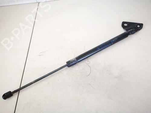 tailgate-lift-support-dodge-journey-2008-35418527 main image